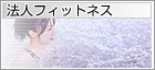 ˡ�ͥե��åȥͥ�