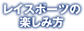 レイスポーツの楽しみ方